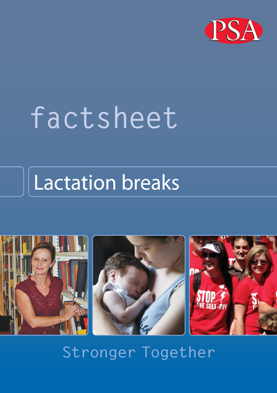 Pages from Lactation breaks updated Factsheet 2013 medium