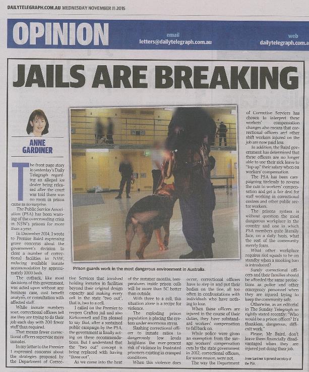 Jails are breaking Anne Gardiner Telegraph 11 November 2015 medium