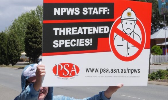 National Parks and Wildlife Service