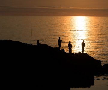 Fisheries: Bans remain in force