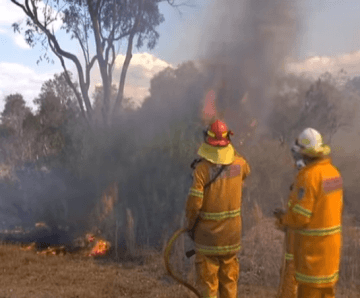 Fire Trails not being maintained - PRIME7 News North Coast 25/10/2019
