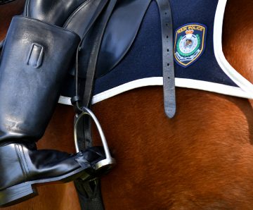 NSW Police Mounted Police Grooms – Industrial bans lifted