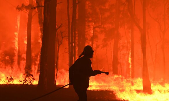 Rural Fire Service member survey