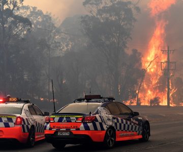 Enough words, time to hold government accountable for bushfire failures: PSA