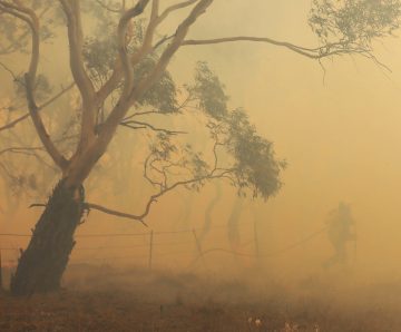 We need to hear from you – fill out the PSA Bushfire Survey