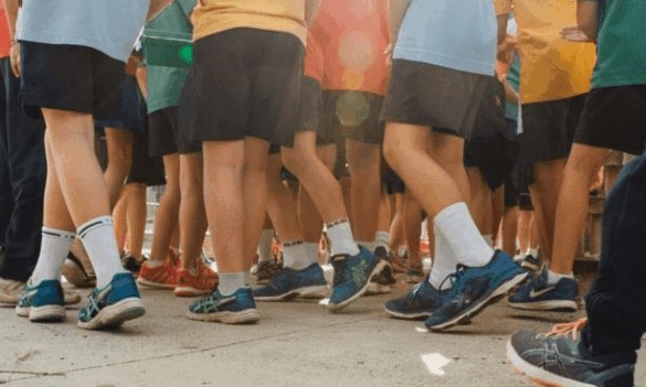 Welcome back for Term 4: what the PSA is working on for you