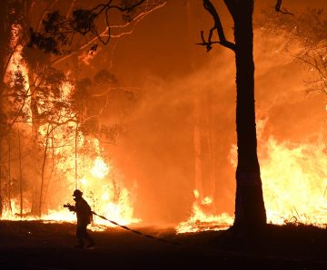 NSW guaranteed more Black Summers without real investment in fire-skilled workforce