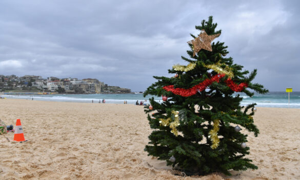 Prison Officers Vocational Branch December 2025 PSA bulletin