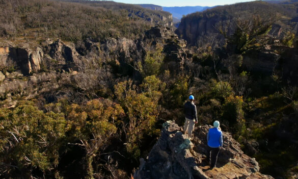 Conservation Programs, Heritage and Regulation (DCCEEW CPHR) and National Parks and Wildlife Service: Consultation extended