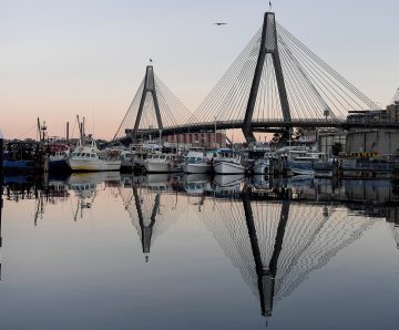 Fisheries management report handed down