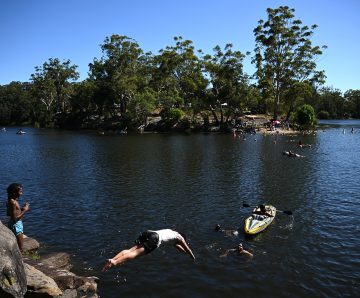 Results of Parramatta electorate survey