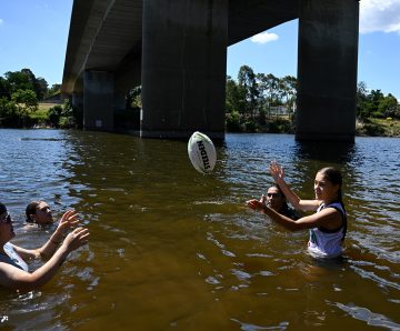 Results of Penrith electorate survey