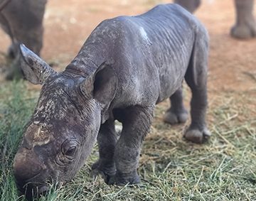 Workplace Health and Safety Essentials, Bullying & Mental Health training coming to Dubbo