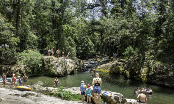 NSW National Parks and Wildlife Service: PSA site visits