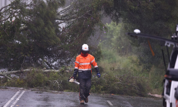 Environment Protection Authority: members meeting, Monday, 16 February 2026