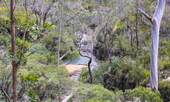 Department of Climate Change Energy Environment and Water: Water Group realignment