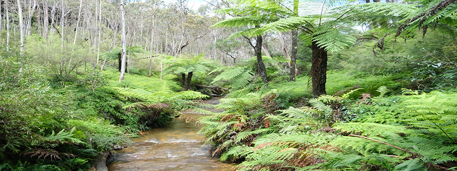 Climate Change, Energy, the Environment and Water