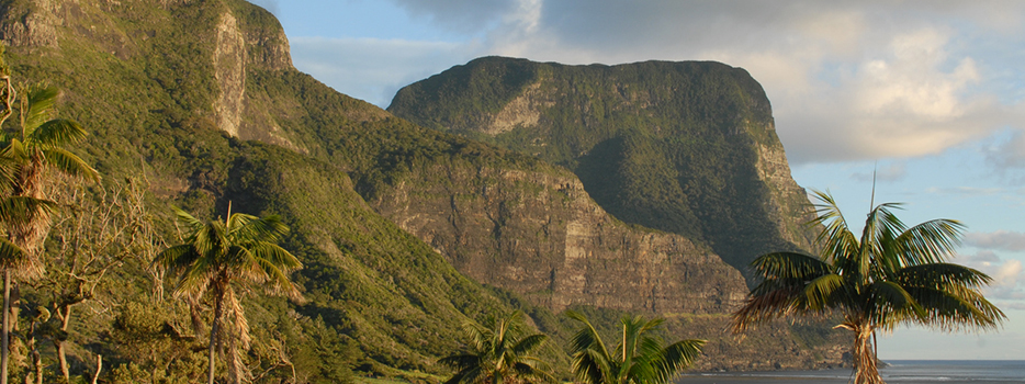 Lord Howe Island Board