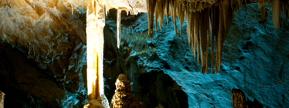 Jenolan Caves Reserve Trust
