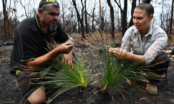 Aboriginal Land Council NSW: CPSU finalises Log of Claims for your new Enterprise Agreement