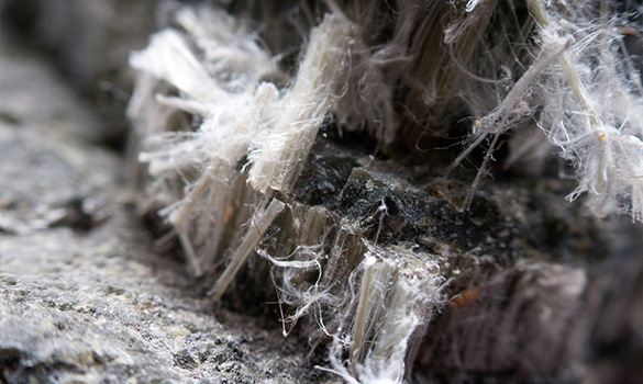 Poo balls, asbestos dumping and lead contamination to go unchecked due to planned staff cuts at EPA