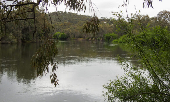 Update for National Parks and Wildlife Service members