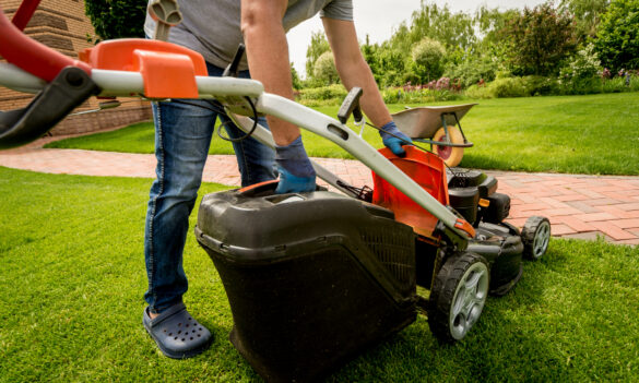 General Assistants and Farm Assistants: looking ahead together