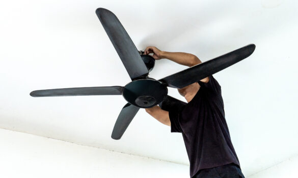 General Assistant and Farm Assistant PSA end of year wrap up