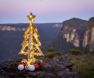 PSA Education Support Staff in 2025: wrap up