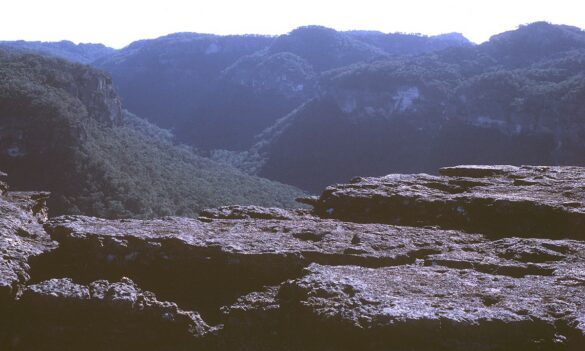 NPWS update – April 2020