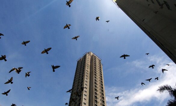 Housing Client Service visits: KPI returns to 65 per cent