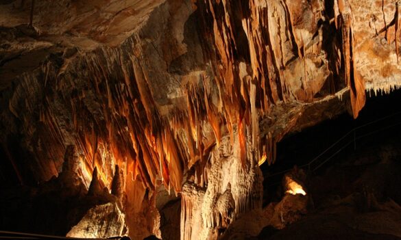 Jenolan Caves members’ award update