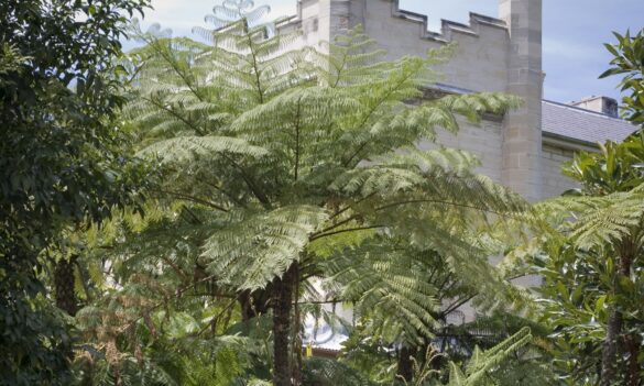 Sydney Living Museums/State Archives and Records Authority – PSA update