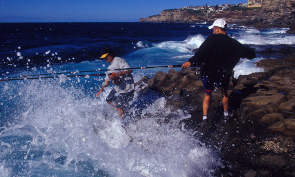 Fisheries: Workplace bans. Direction to members