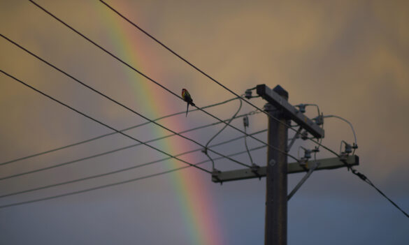 TransGrid Enterprise Agreement update