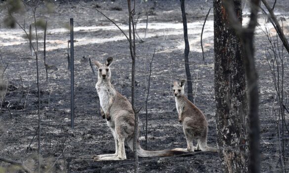 Congratulations to our newest PSA Delegate – Pete Christie!