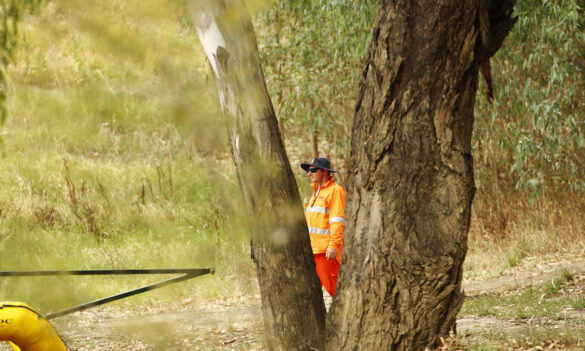 State Emergency Service – On-Call draft guidelines