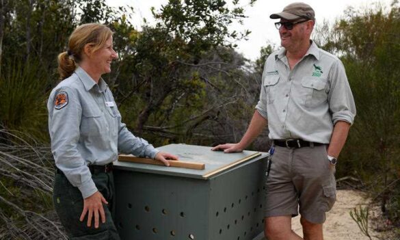 NPWS Ranger recruitment discussions continue