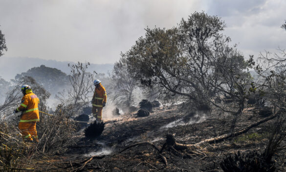 Bulletin –  RFS Award – Report Back