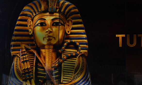 Australian Museum JCC Bulletin