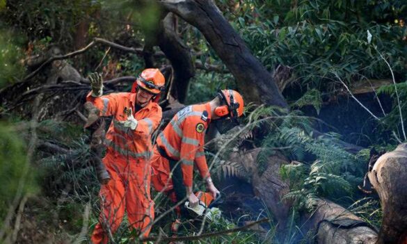 SES Christmas closedown