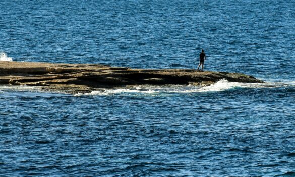 Joint Consultative Committee (JCC) and Restructure Joint Consultative Committee (RJCC) members’ update