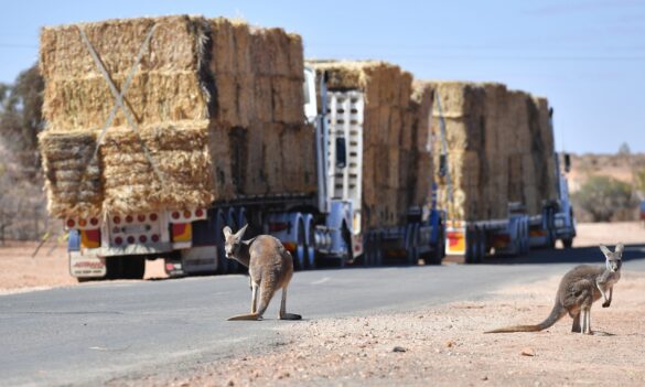 National Heavy Vehicle Regulator update