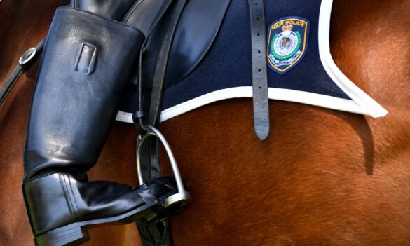NSW Police Mounted Police Grooms – Industrial bans lifted