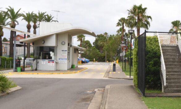 POVB bulletin: COVID-19