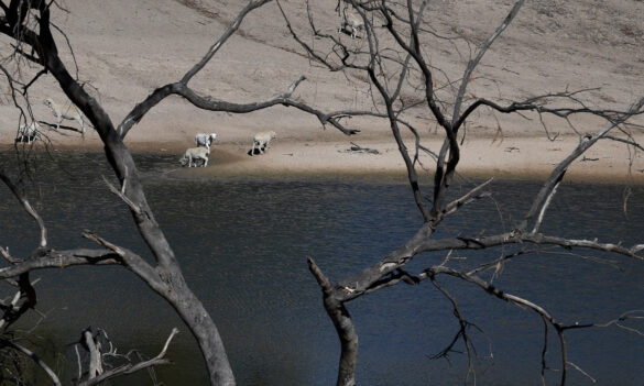 Update: WaterNSW Enterprise Bargaining