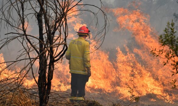 Rural Fire Service November update