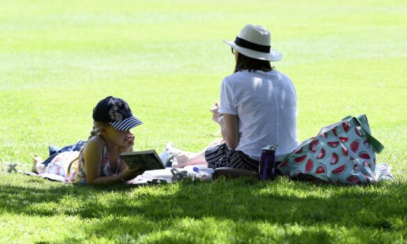 Update on the NSW Education Standards Authority Child Safe Action Plan