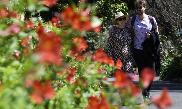 Greater Sydney Parklands change: We need your input