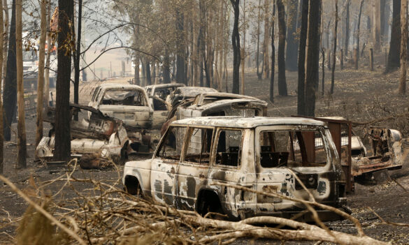 CPSU NSW members affected by bushfires